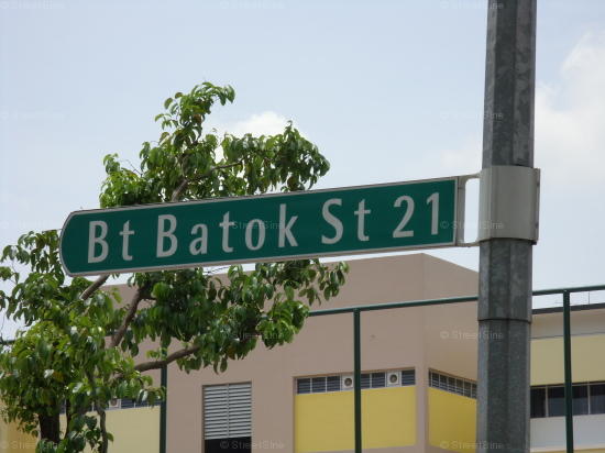 Bukit Batok Street 21 #101502